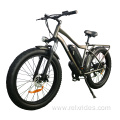 Wide Tyres excellent cross performance electric bicycle